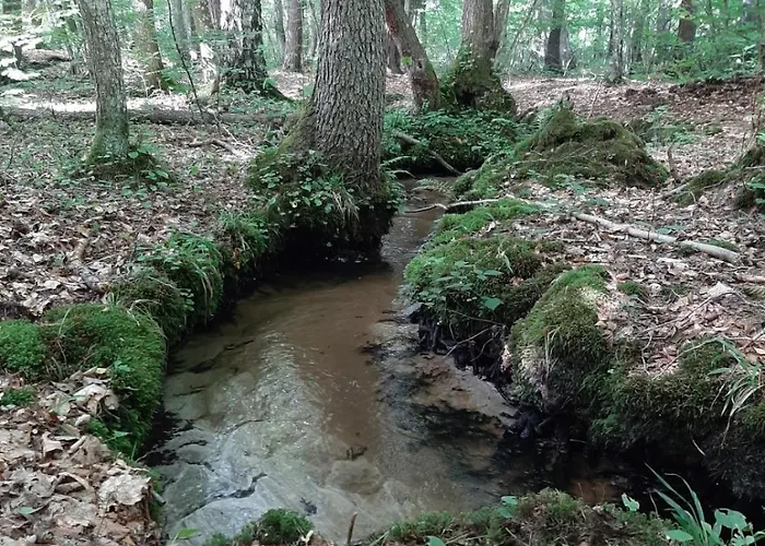 Pod Orzechem * Ulinia