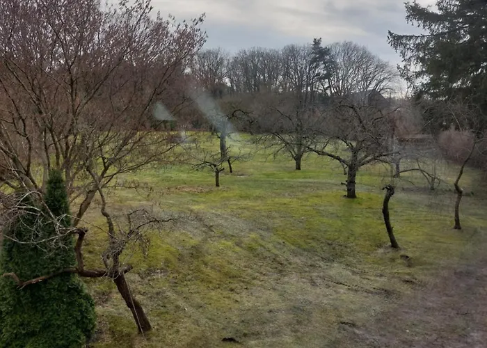 Pod Orzechem Daire *